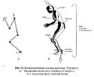 Упражнения для укрепления суставов и связок